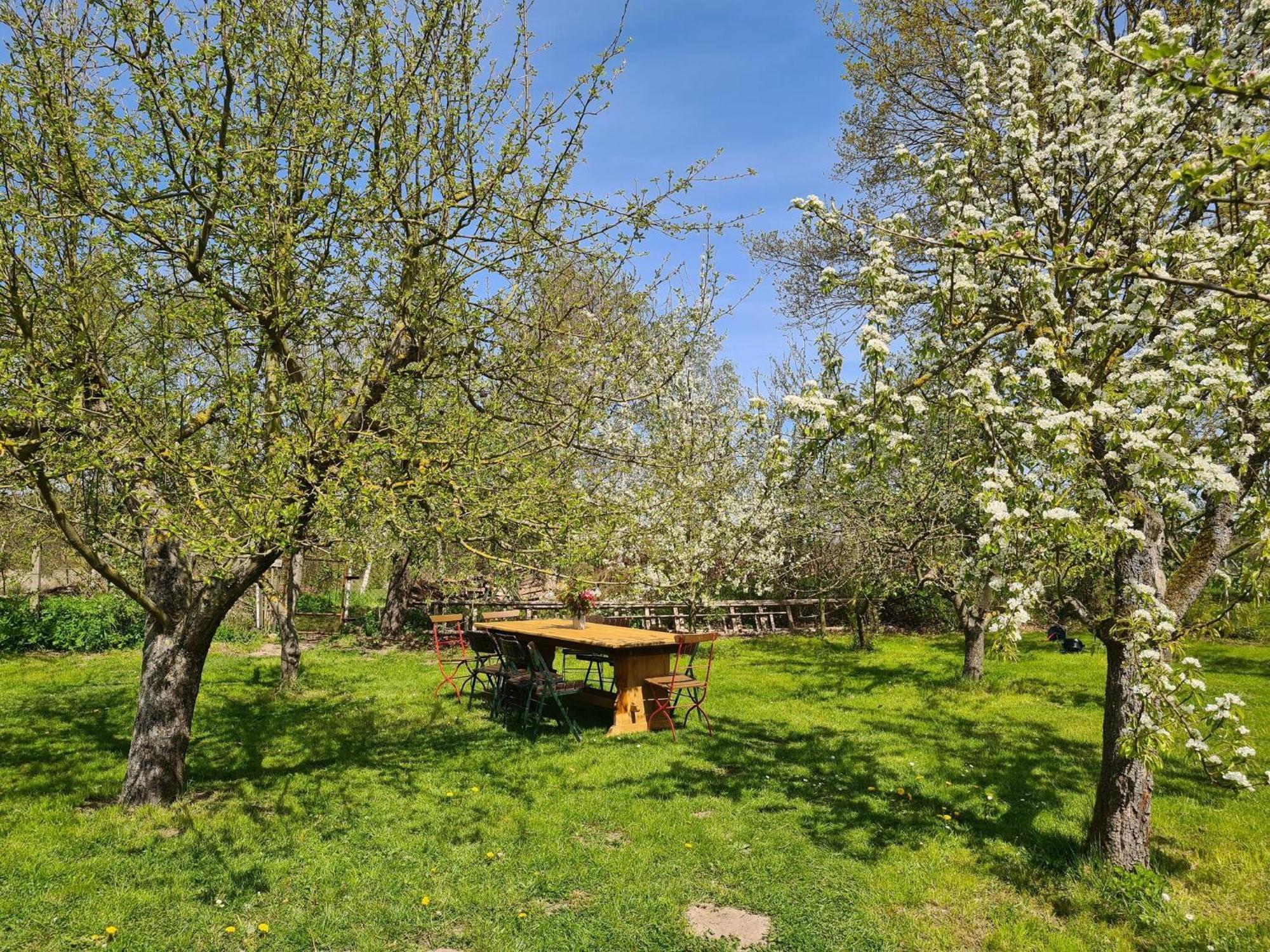 Renovated Apartment In The Old Farmhouse Krusenhagen 外观 照片