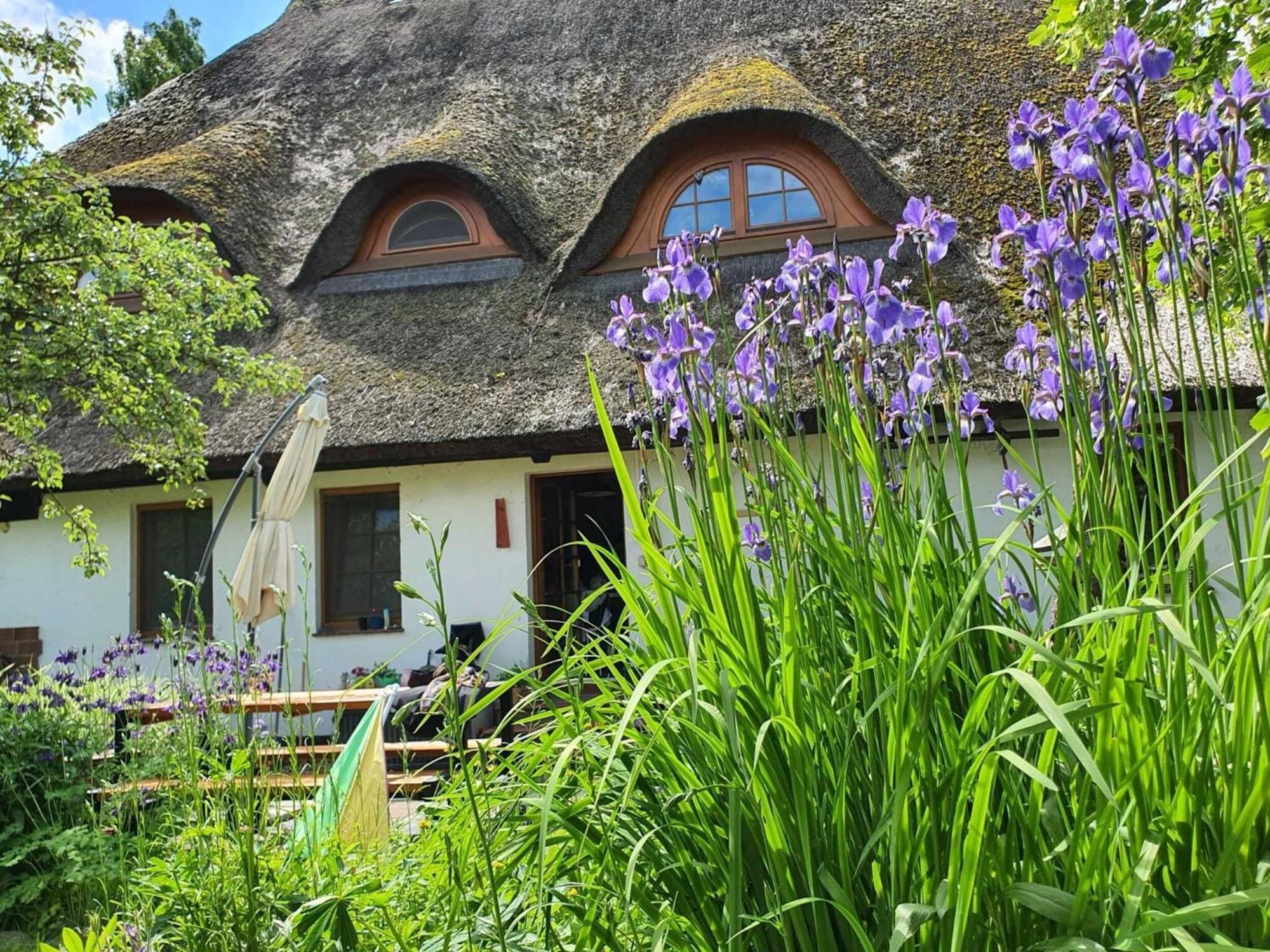 Renovated Apartment In The Old Farmhouse Krusenhagen 外观 照片