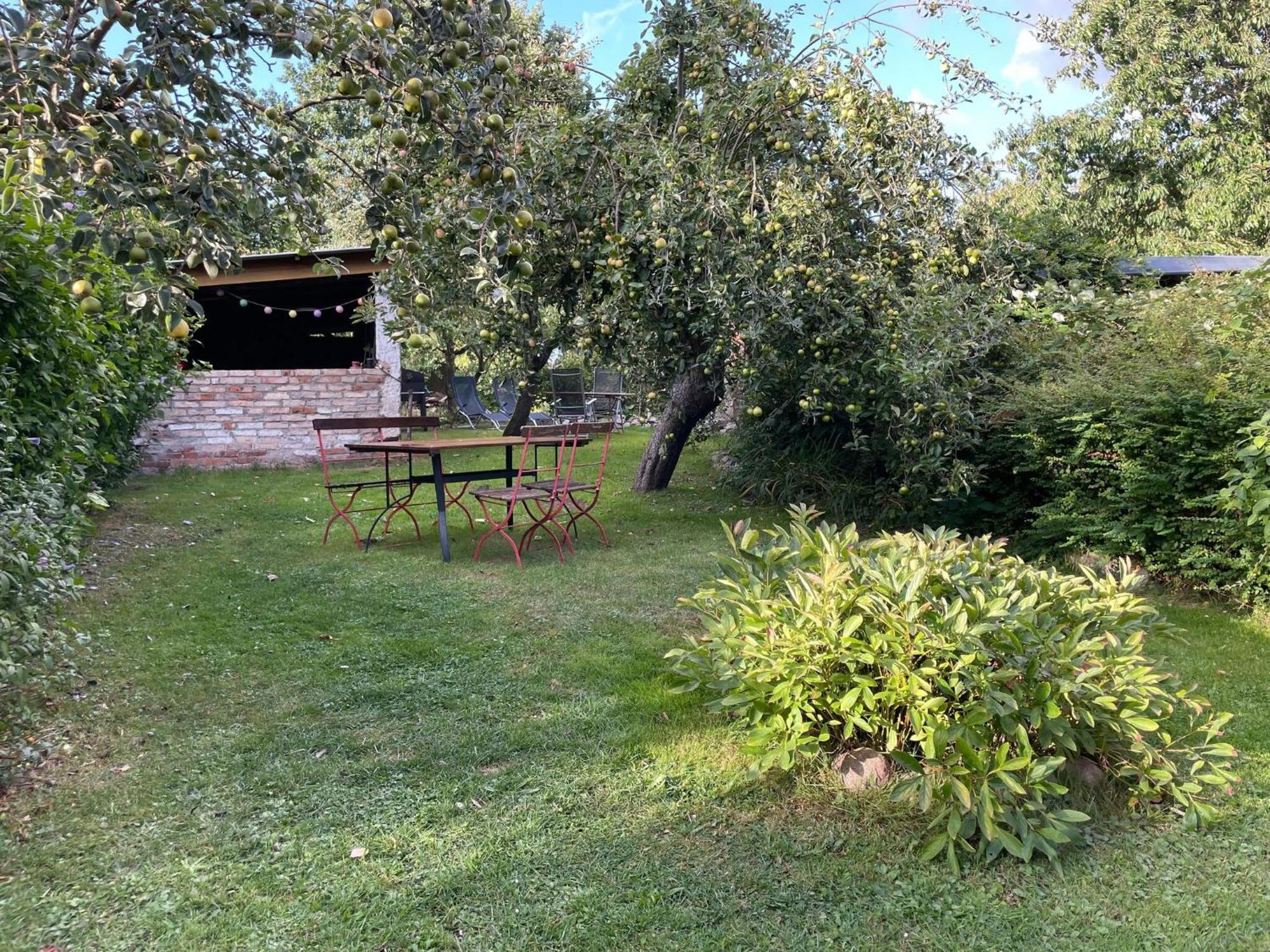 Renovated Apartment In The Old Farmhouse Krusenhagen 外观 照片