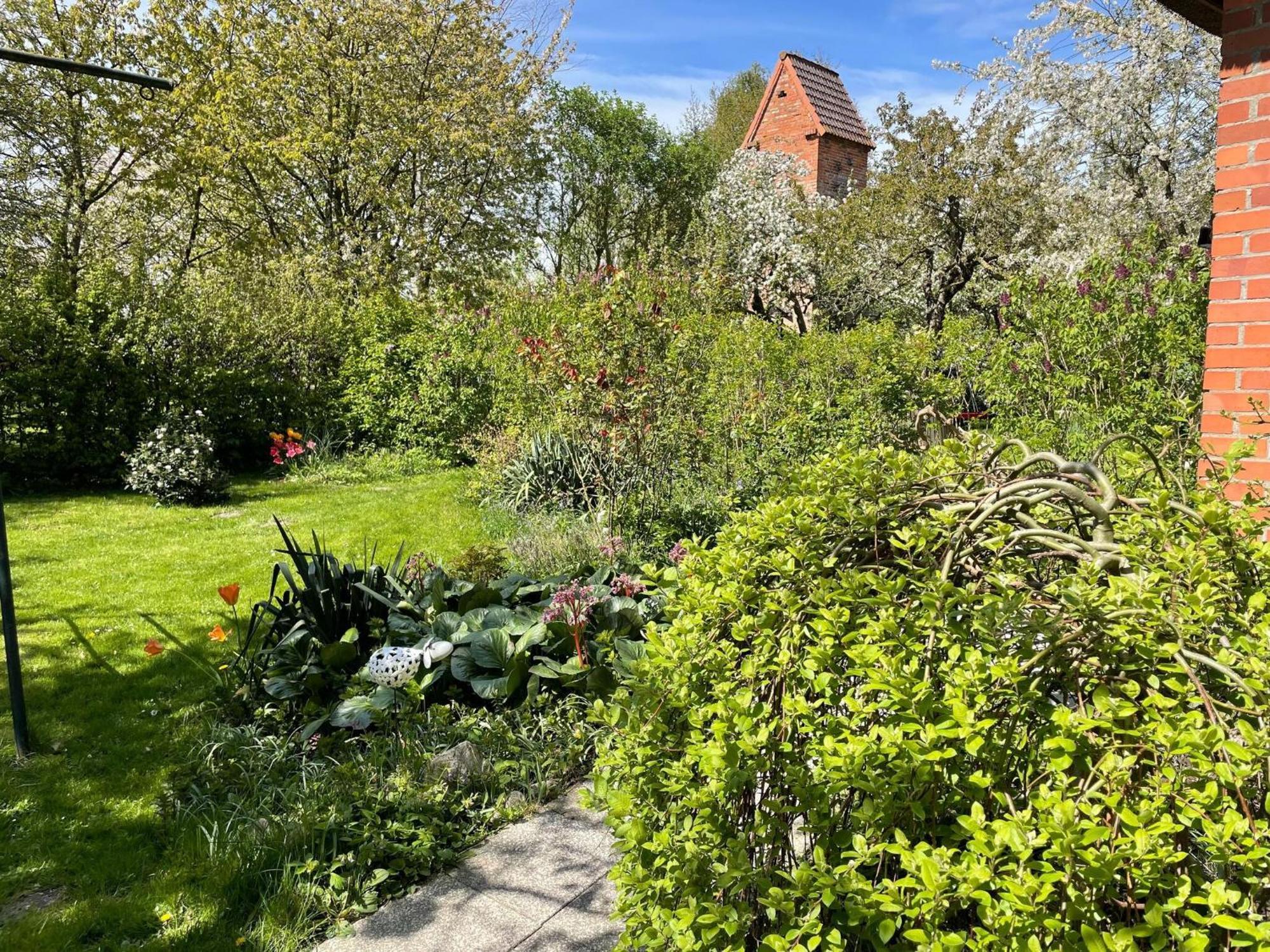 Renovated Apartment In The Old Farmhouse Krusenhagen 外观 照片